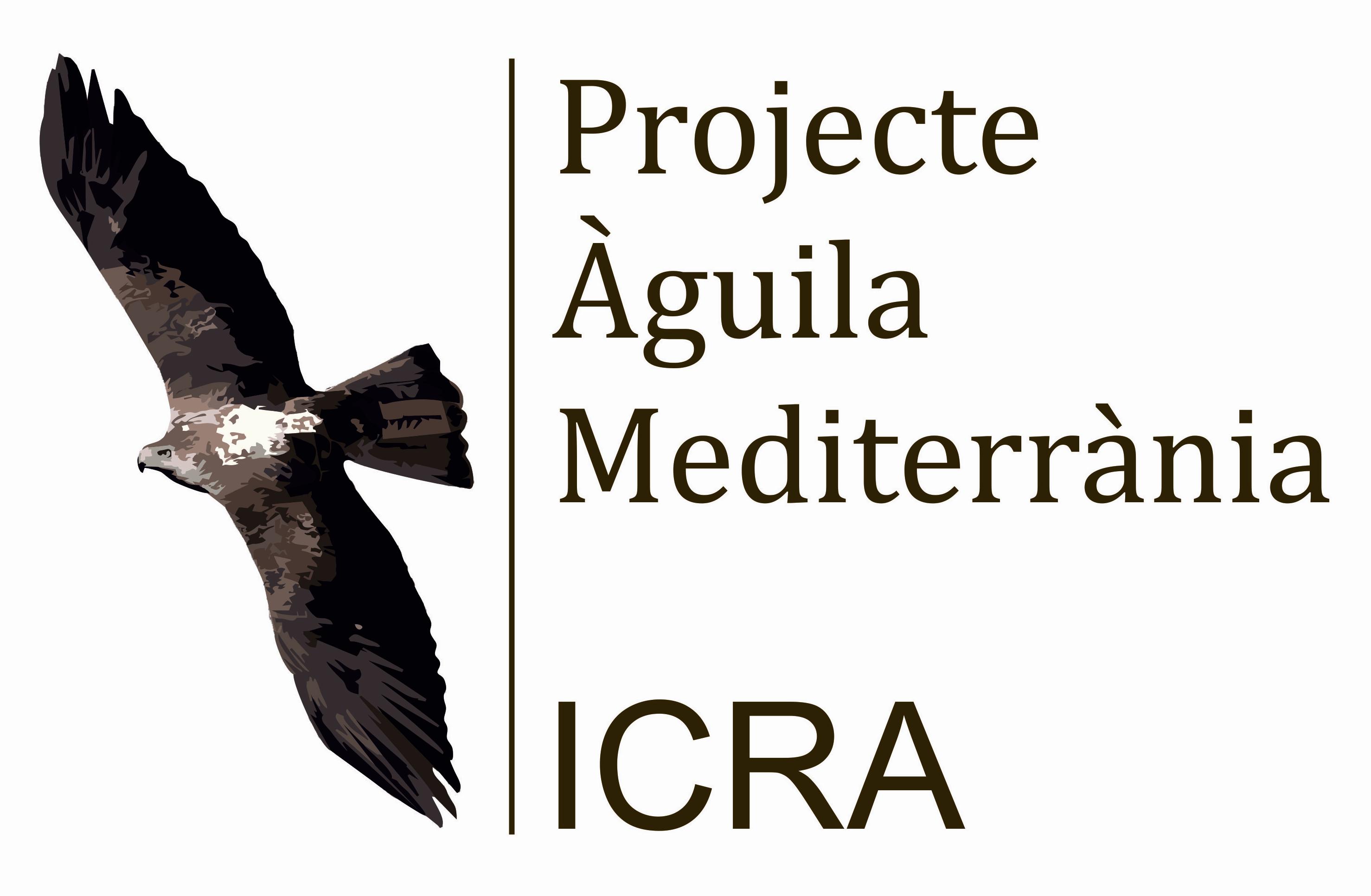 Projecte àguila medoterrània
